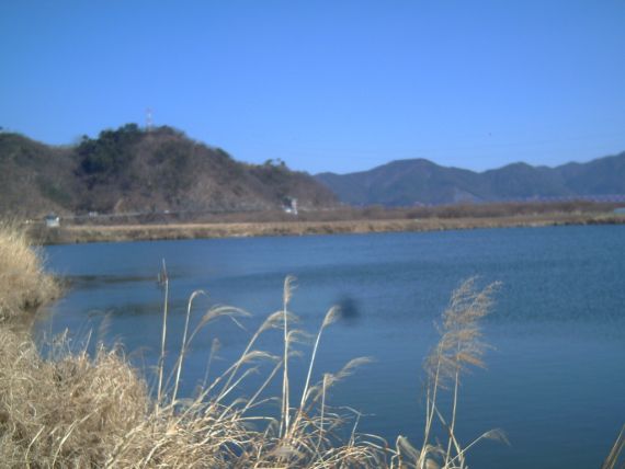 2-17일날 낚수하러 갔던 밀양강입니다. 상남초등학교에서 둑길을 타고 들어가시면 됩니다. 포인트는 좋은데 저만 가면 꽝~~~ㅎㅎ