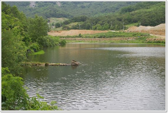 수심이 조금 깊은곳입니다 떡밥낚시 포인트