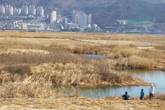 가족과 함께 낚시를 나온 열렬 조사님