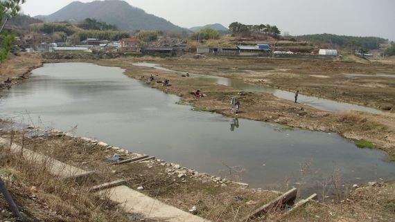 함안뚬벙입니다.