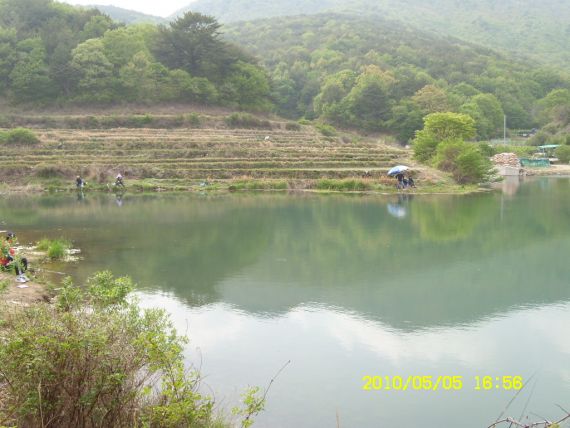 상류쪽 건너편에 두 팀이 자리 하고 있군요.....