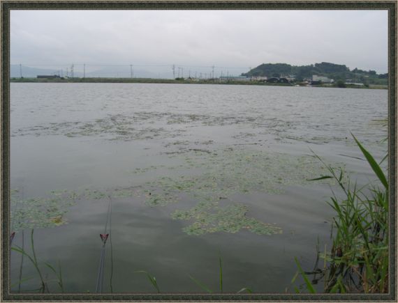 수초형성도 잘돼있고....