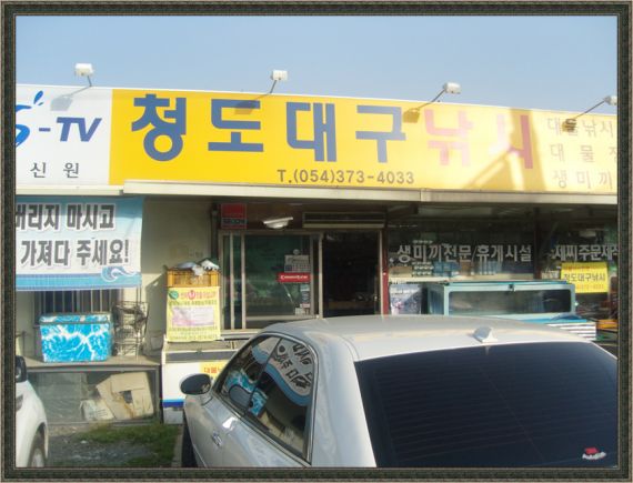 청도대구낚시에 들러 사장님께 포인트를 추천받았습니다