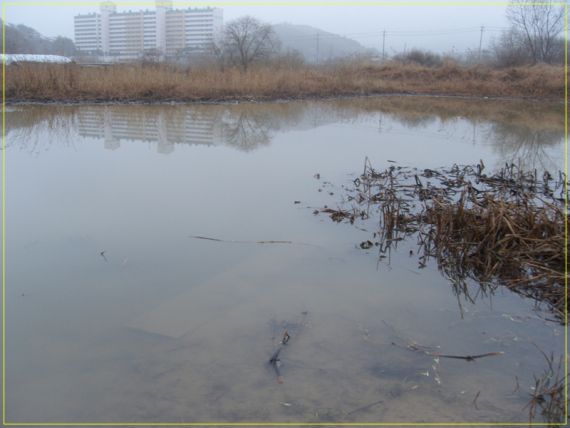 중간쯤에서 큰넘들이 많이 놀기는 노는데.....