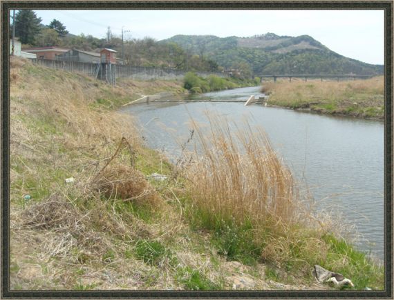 금곡마을 수중보앞.