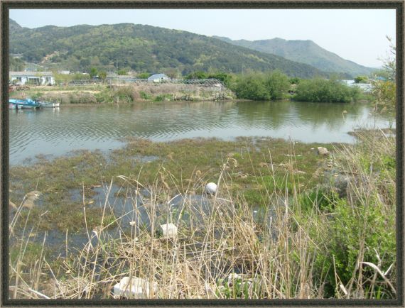 서낙동강 최고의 뽀인틉니다.