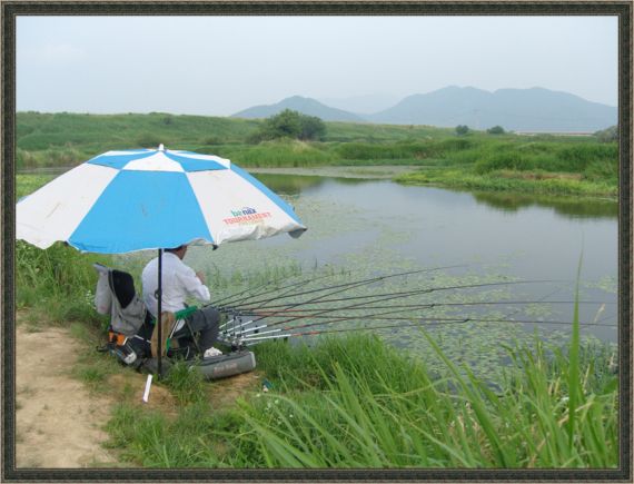 동행한 딱이입니다