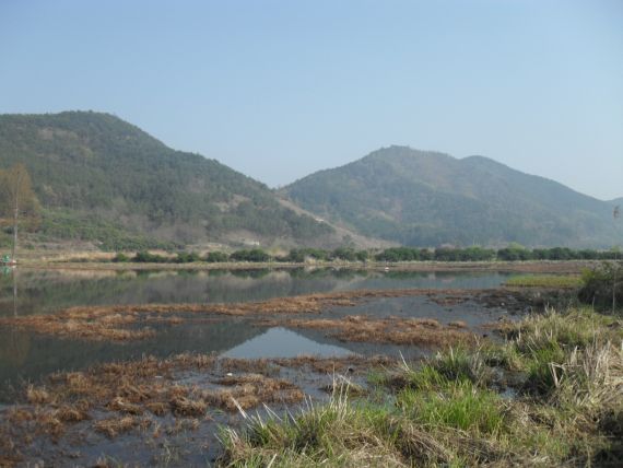 상류늪지대