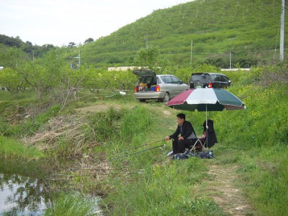 한수하기전 동수