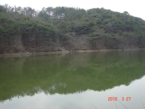 제방 우쪽..진입이 힘듬...