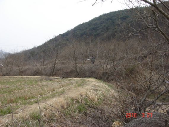 상류 물골 바로옆...제자리