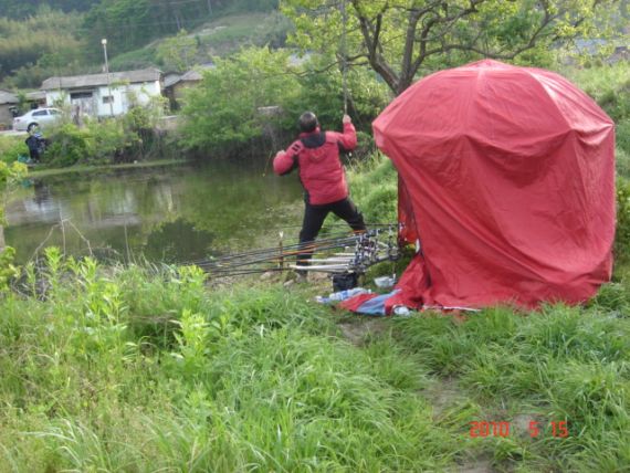 해뜨고 한수하시네요~