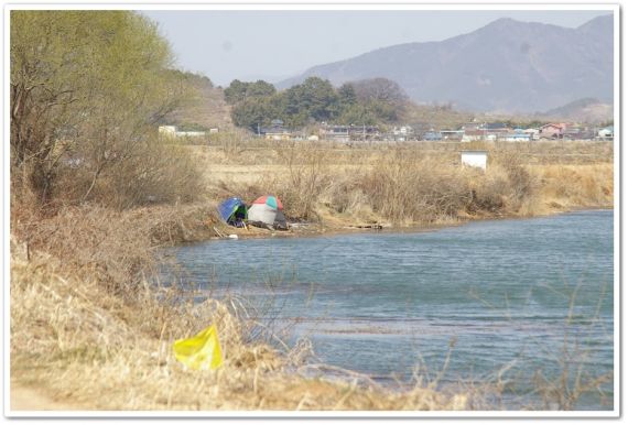 중류권에도 장박꾼이 보입니다