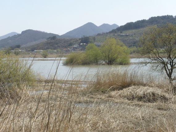 어느새 푸른 초록은 가까이 다가와 있네요..계속 밤낚시만 했드니만..