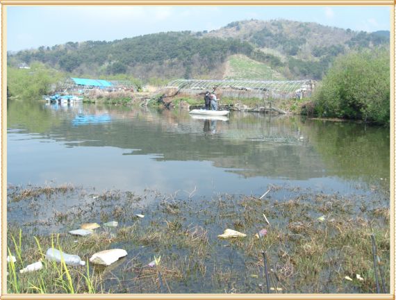 베스낚시꾼도 보이네요