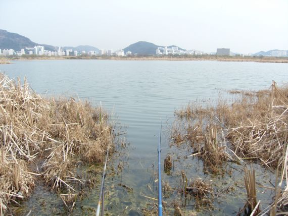 29.32. 두대로 시작합니다