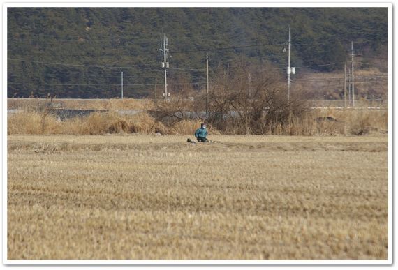추운날씨속에도 어김없이 꾼들이 보입니다 대단하십니다 바람막이도없이...(삼랑진 늪)