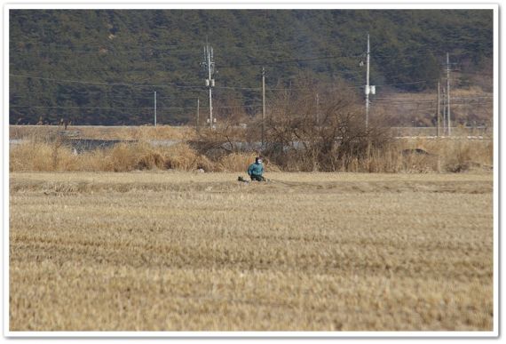 추운날씨속에도 어김없이 꾼들이 보입니다 대단하십니다 바람막이도없이...(삼랑진 늪)