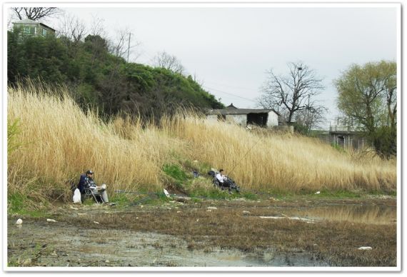 곳곳에 자리를 합니다