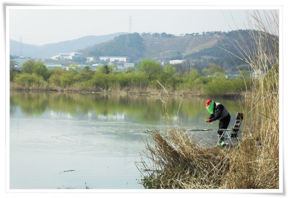 멋 찌게 한수 올립니다