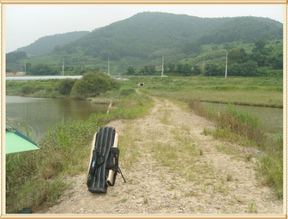 좌측은 모정수로. 우측은 둠벙형태.