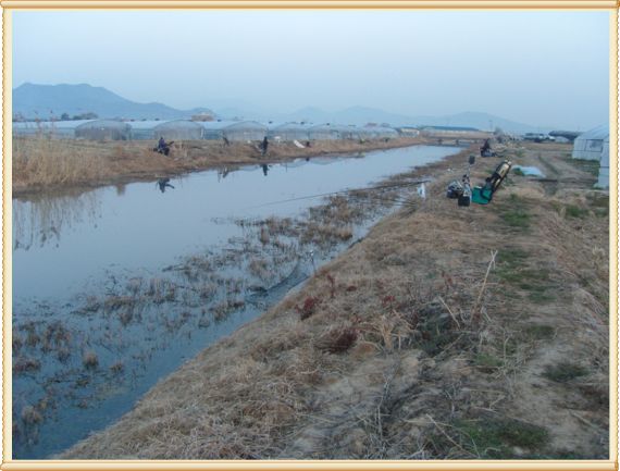 저의 오늘 놀다갈자리.