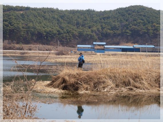 대곡늪에 들어서자 멋쟁이 루어 조사가...