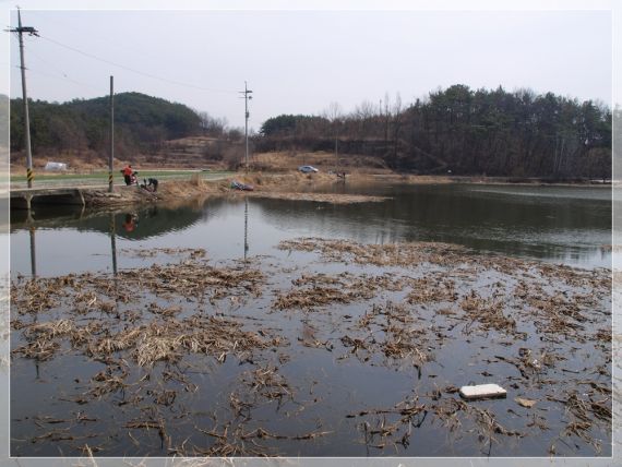 상류쪽 잘 발달된 수초 뭔가 있을듯...