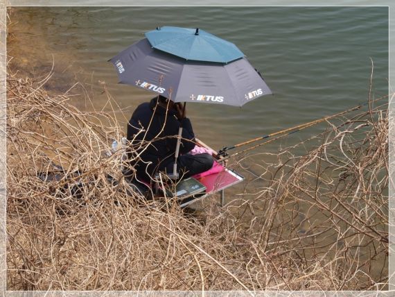 도로 밑에서 멋진 모습의 조사님 발견...