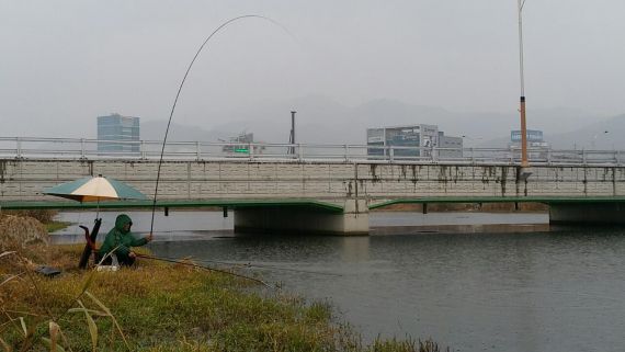 옆에 오전에와 한수 두수 연속 히트