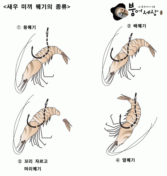대물미끼인 새우꿰기의 일반적인 방법
