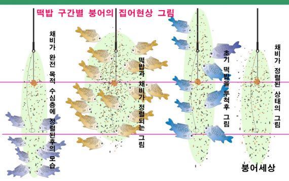 초기의 흩어진 붕어들이 채비가 정렬된후까지의 입질형태입니다