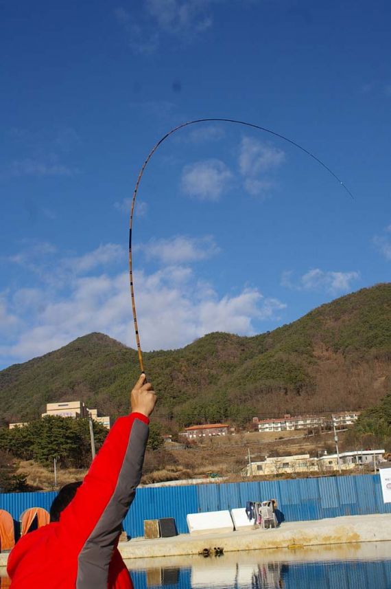 멋지게 입질을 받습니다