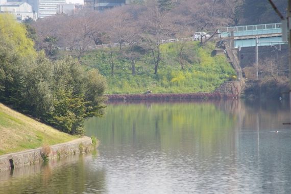 동경 한복판을 가로지르는 수로에서 한가롭게 낚시를 즐기는 붕어 꾼입니다(멀어서 잘 안보입니다 ㅎ)