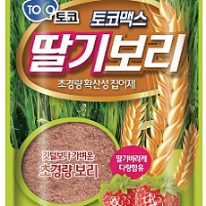 토코 딸기보리