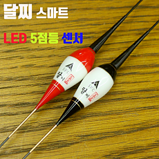 (올림 기획전) 달찌 스마트 LED 5점등 센서 / 내림 편대 공용